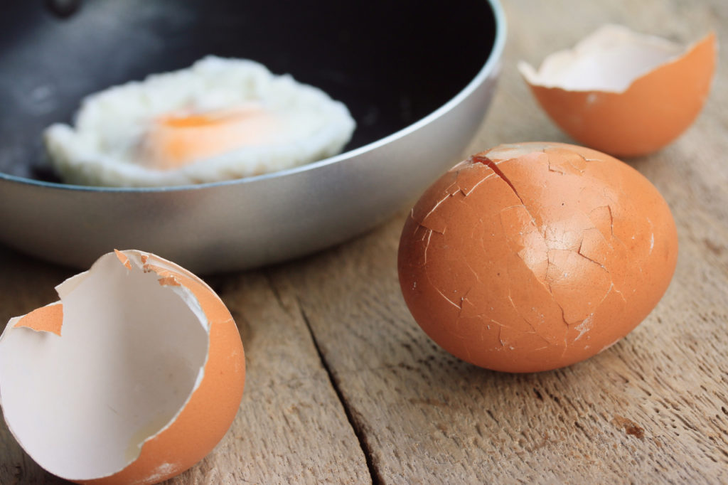 Food agency warns of salmonella outbreak