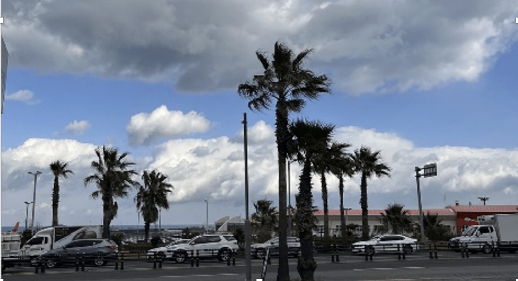 Korean Law Firm SEUM Innovates Work-Life Balance with ‘Workation’ Program on Jeju Island – ngopihangat