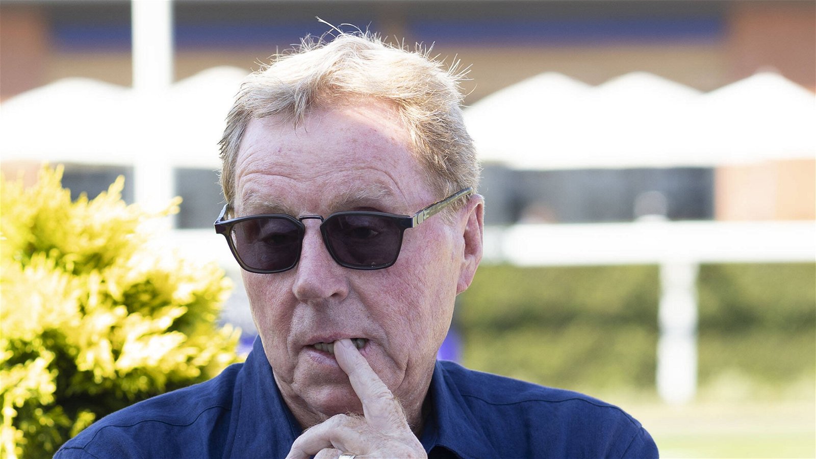 Harry Redknapp explains why he’s picked out a Newcastle United duo
