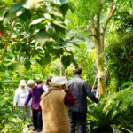 [Drama Tour] Bucheon Lake Botanic Park, perfect weekend getaway for families