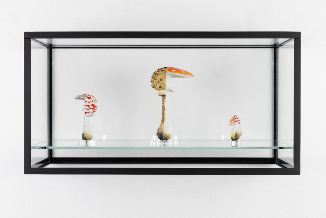 Massimo De Carlo’s new Seoul Studio kicks off second show