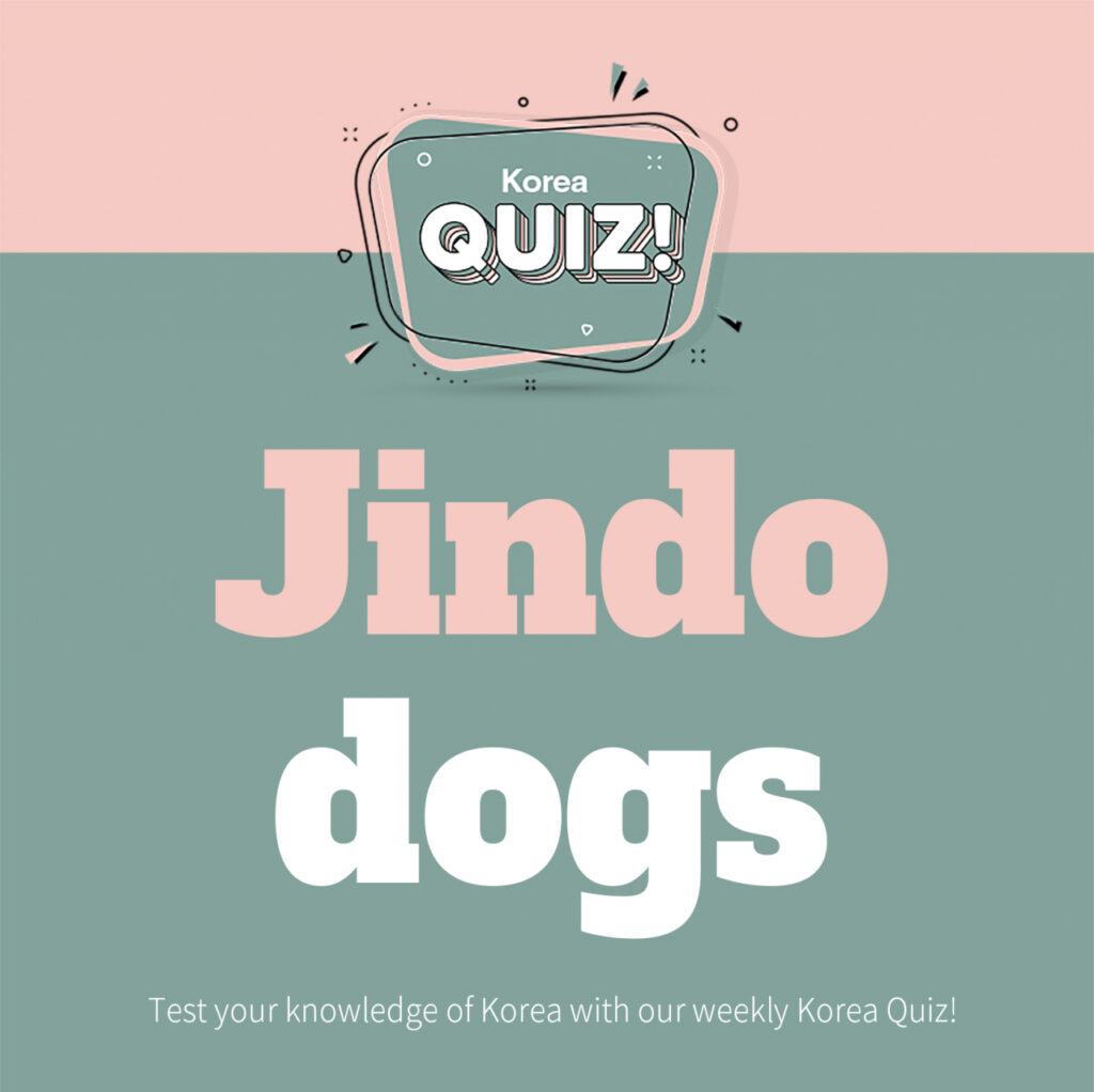 [Korea Quiz] Jindo dogs
