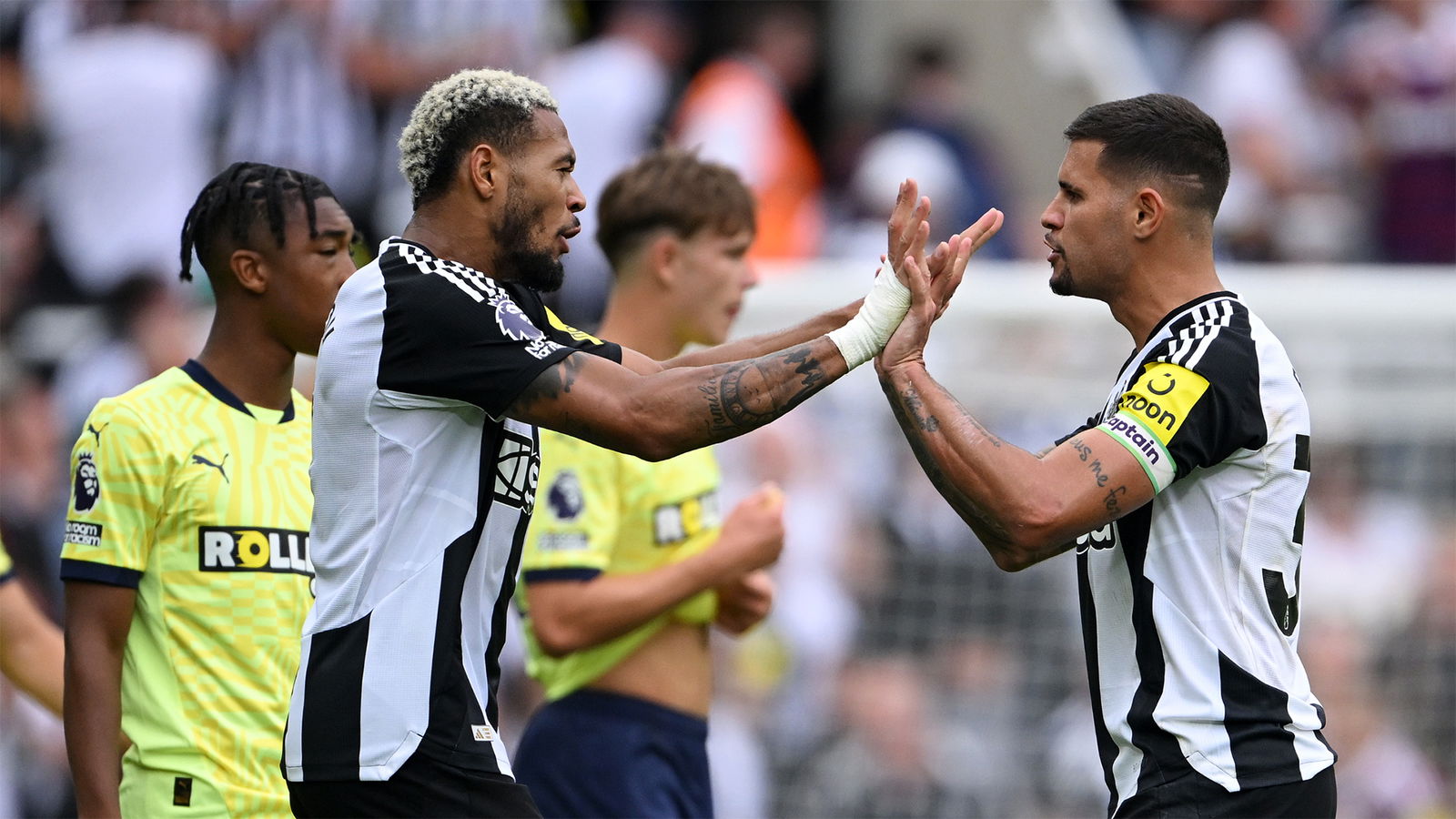 Southampton fans comments after defeat at Newcastle United – Loving it!