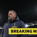 Tottenham could sign new winger if Manor Solomon completes loan move