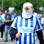 Bring on the Seagulls – Newcastle v Brighton preview