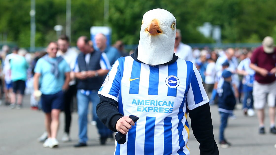 Bring on the Seagulls – Newcastle v Brighton preview