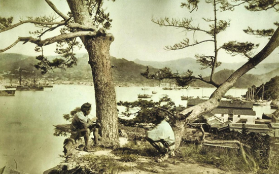 Nagasaki Jack: the four-legged beachcomber