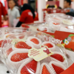 ‘Sweet and tangy, fantastic taste’: Indonesia falls for Korea’s Nonsan strawberries