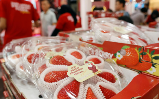 ‘Sweet and tangy, fantastic taste’: Indonesia falls for Korea’s Nonsan strawberries