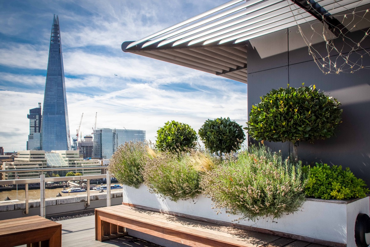 Would you sleep in the office?