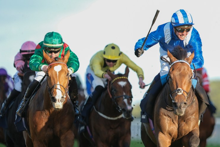 Anmaat and Aeronautic can sprout wings at Leopardstown