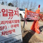 Korea reports 21st ASF case this year