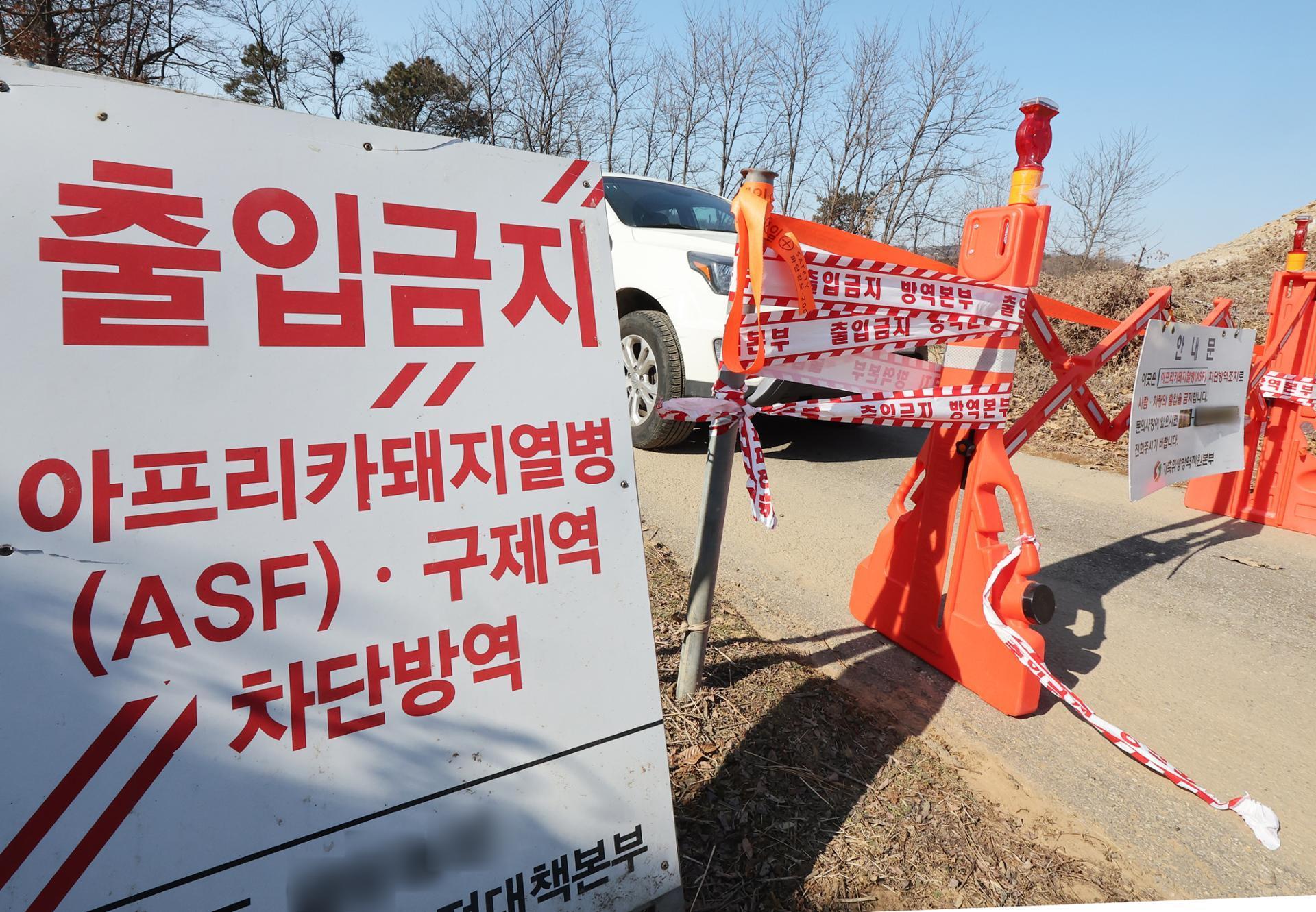 Korea reports 21st ASF case this year